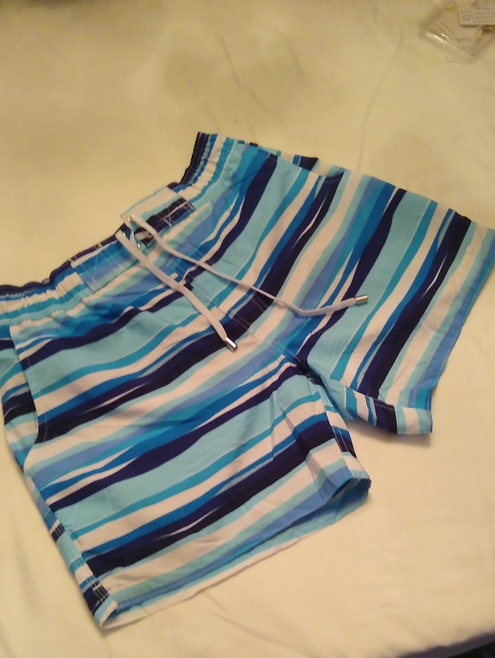 2xist Men's Blue and White Striped Swim Trunks
